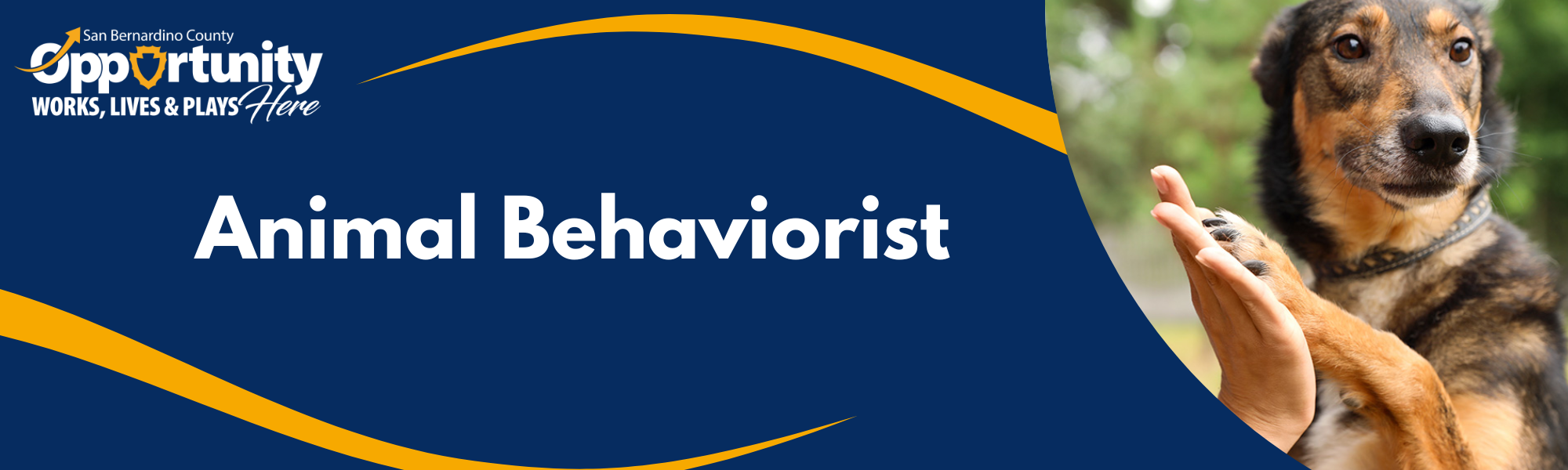 Recruitment banner for [Animal Behaviorist] and SB County Logo with [dog high-five hand] in background.
