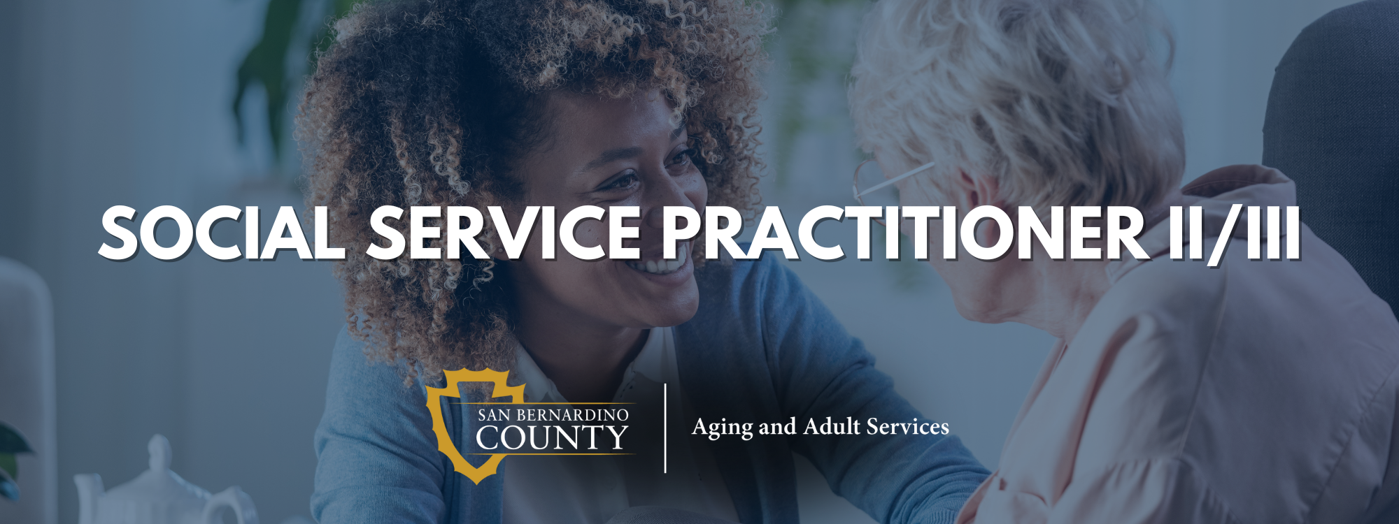 SSPII-III - DAAS .png