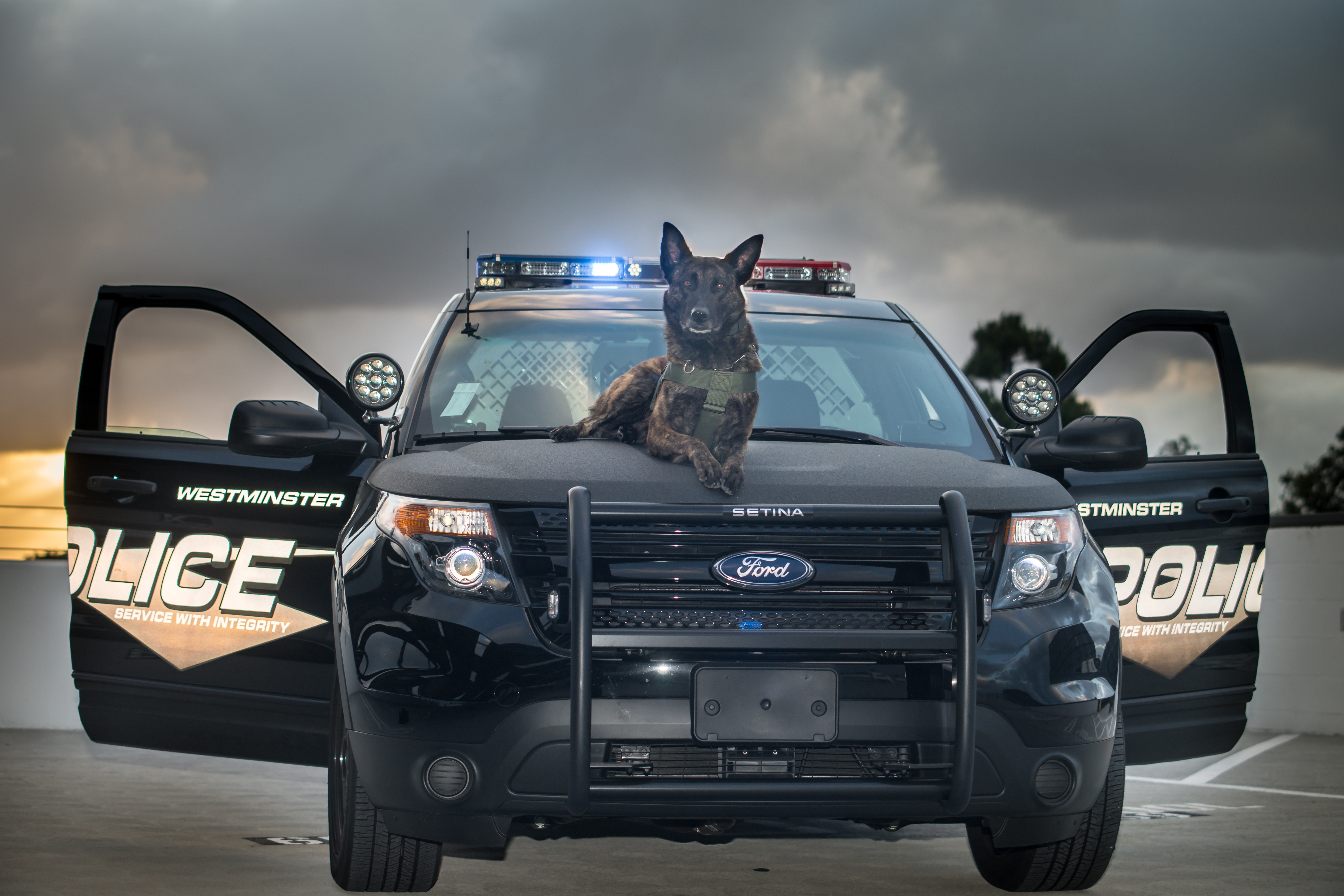 This recruitment is for applicants who have graduated from a California POST Basic Police Academy within the last twelve (12) months.