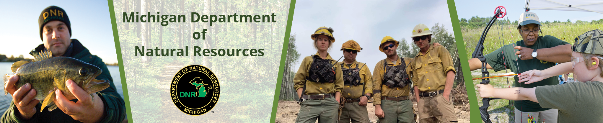 An image without description