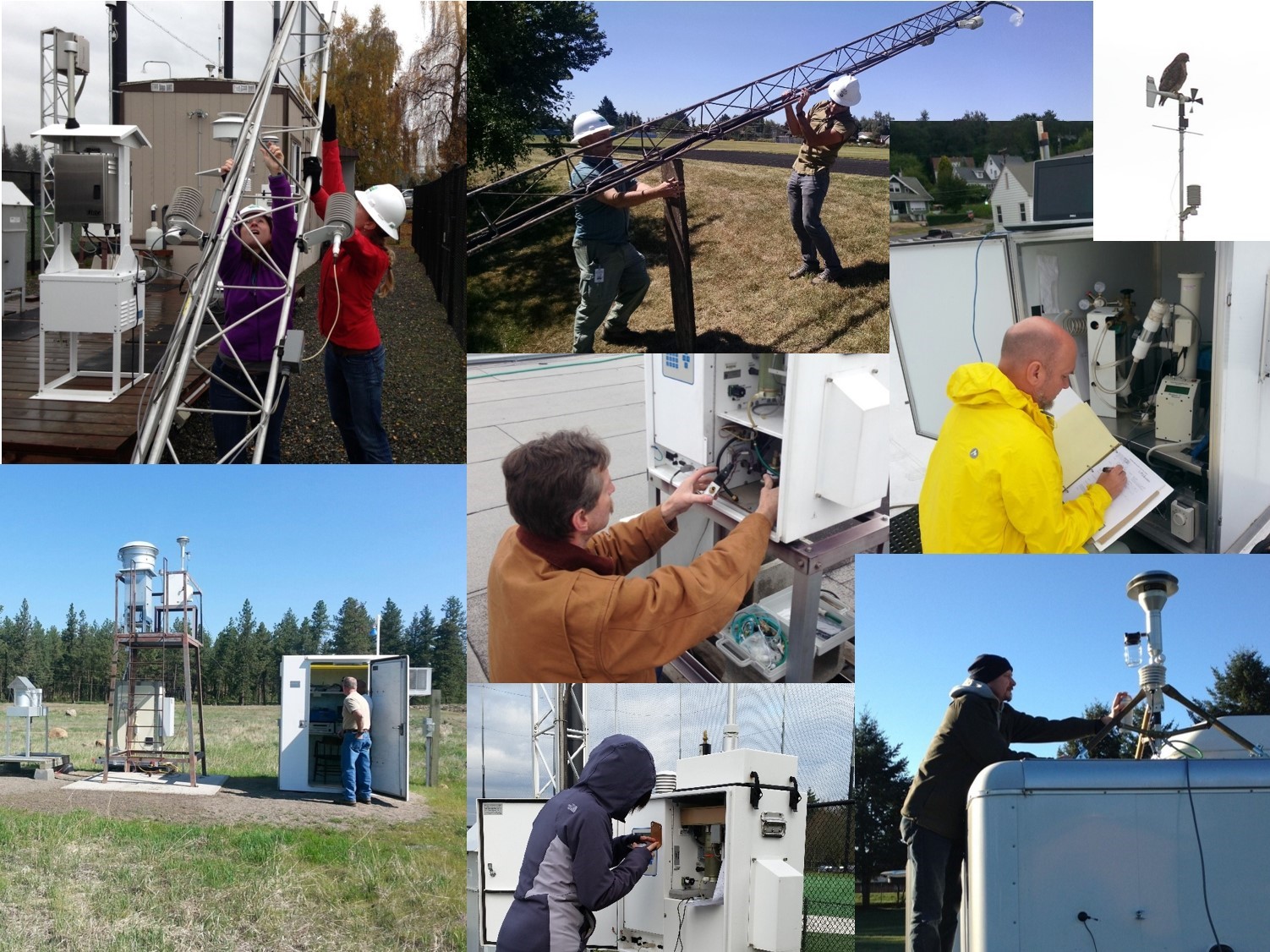 An image without description