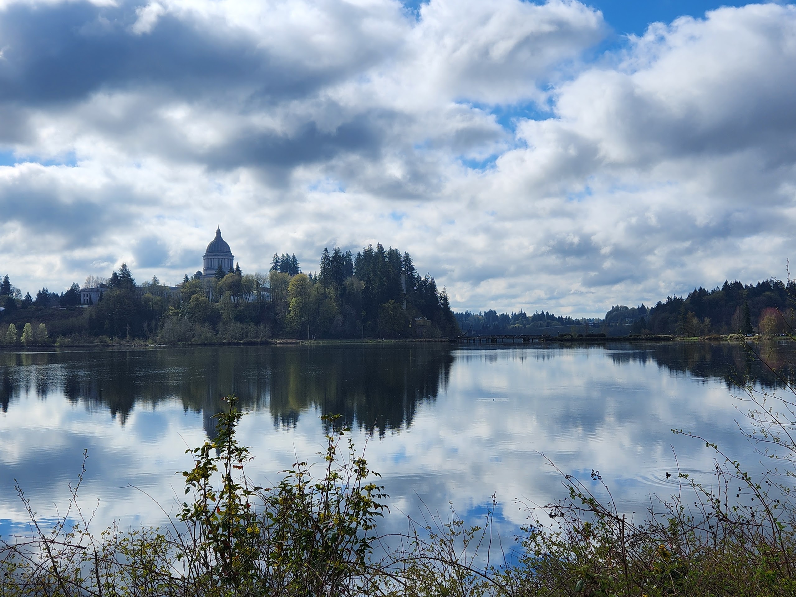 An image without description