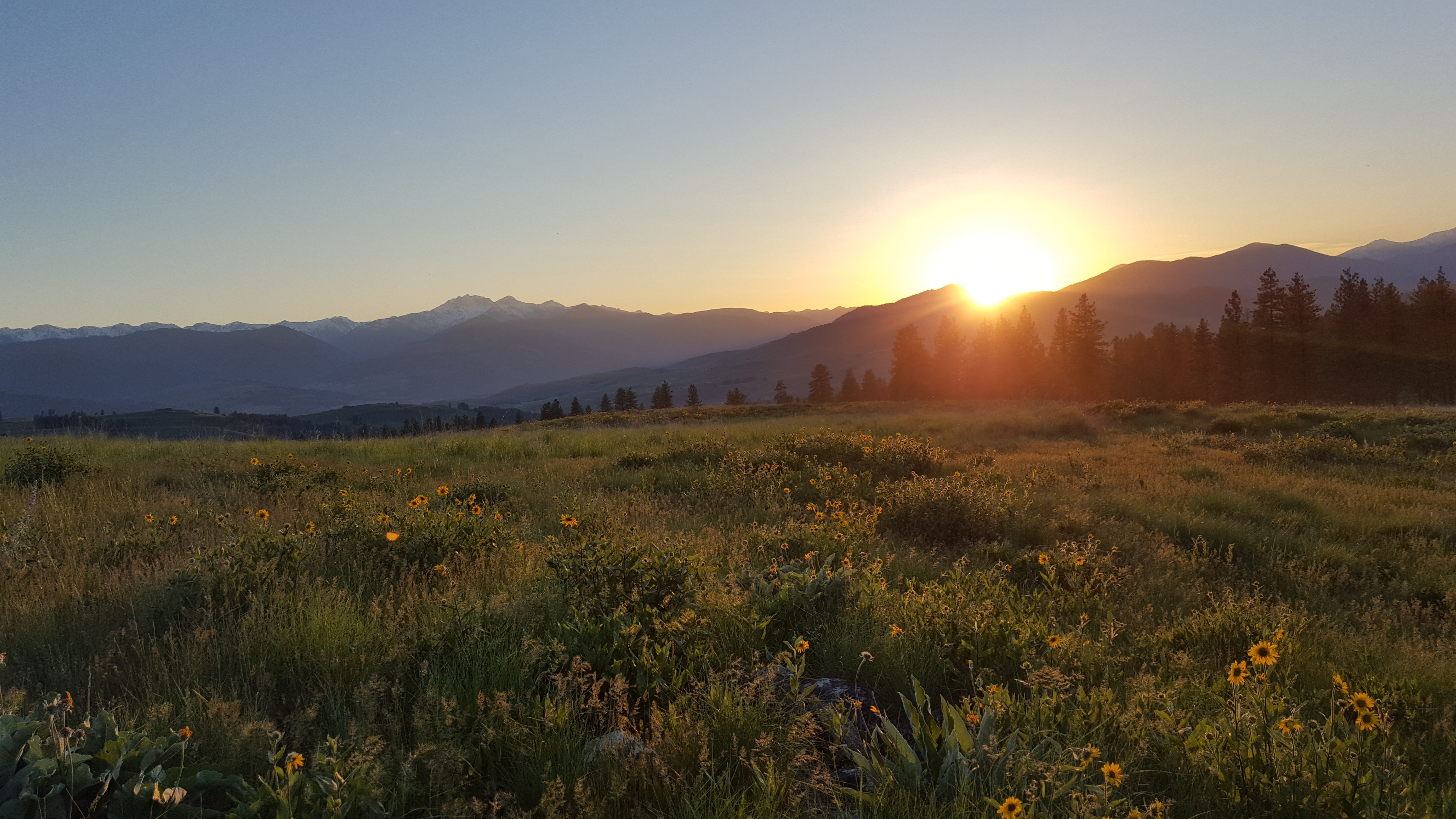 An image without description