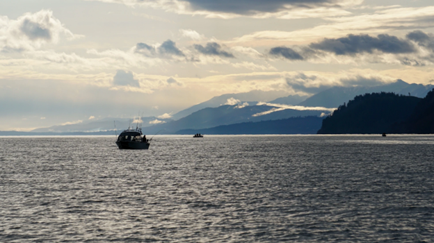Puget Sound & Coastal Troll Quick Reporter - Data Consultant 1 - Permanent - 2025-07235 description image