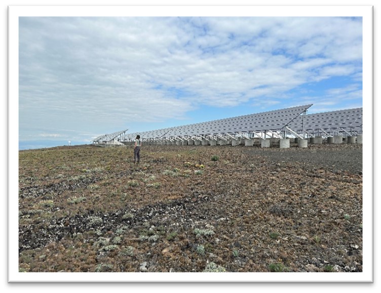 A person stands in front of a solar power array in shrubsteppe landscape