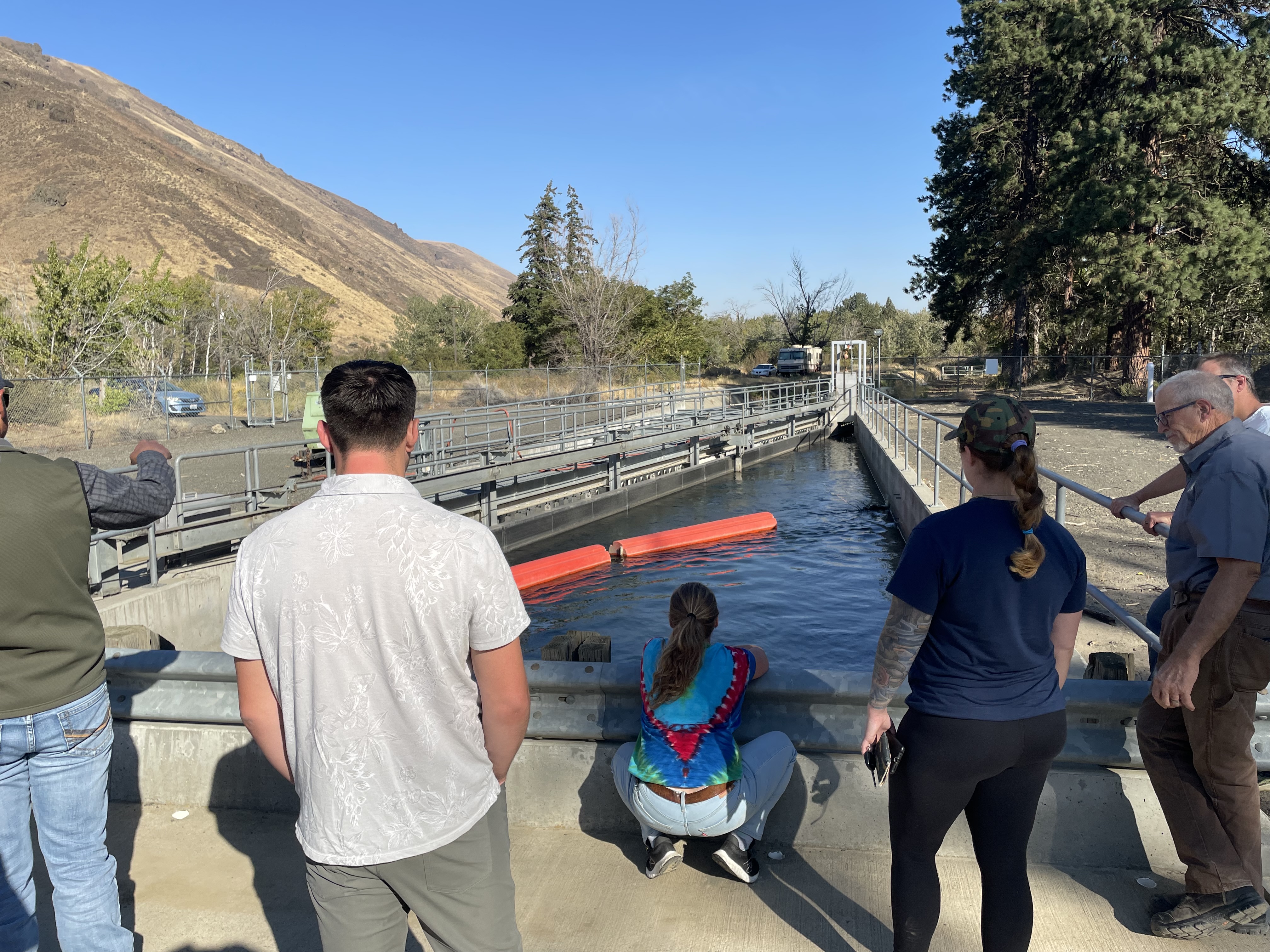 An image without description