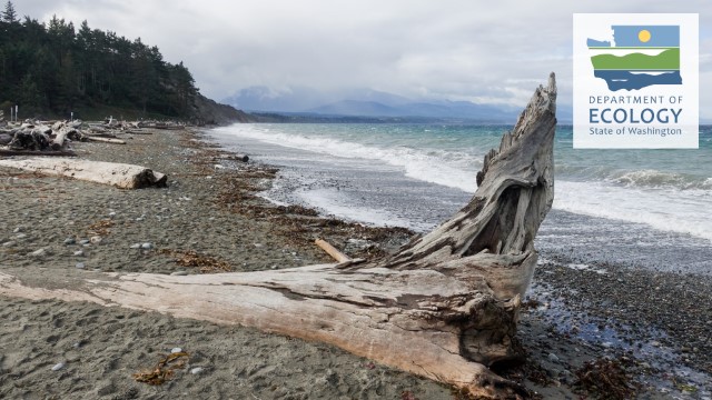 An image without description