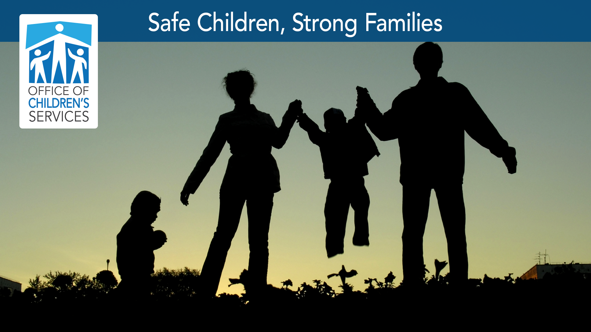 What you will be doing