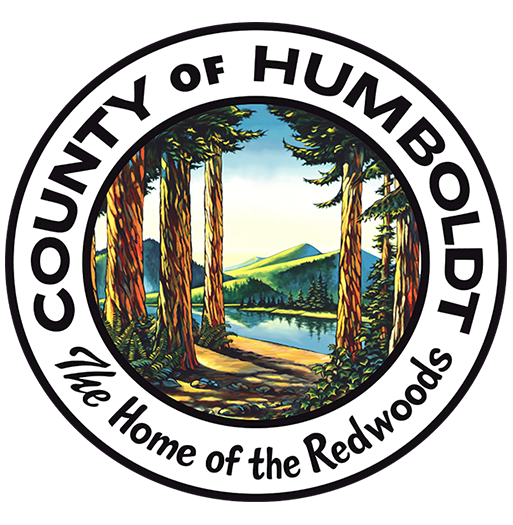 Department of Aviation