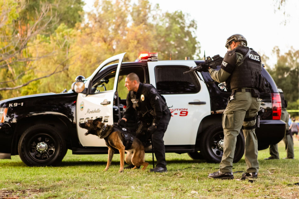 The hiring manager reserves the right to make a hiring decision at any time during the recruitment process.