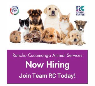 20250917180827_image (15).jpeg