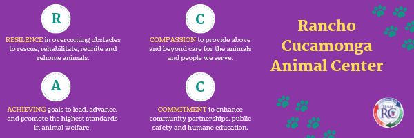 Copy of Let's celebrate our country's peace and freedom(1).png