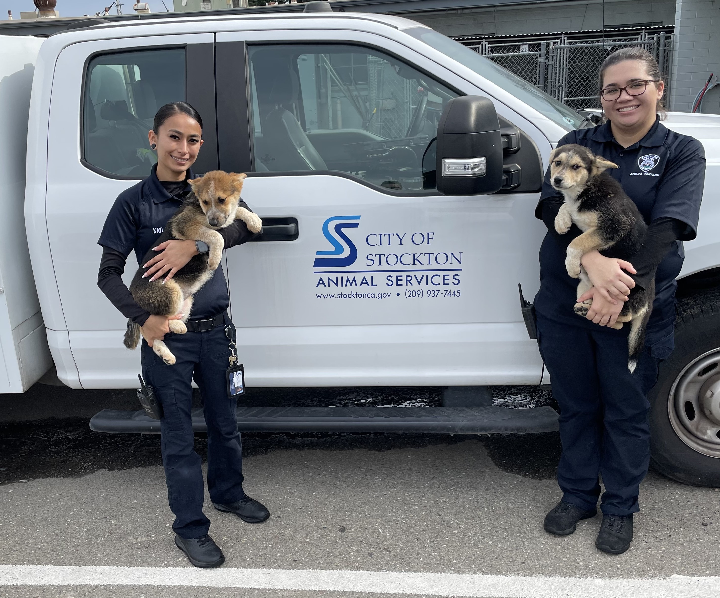 The current vacancy exists in the City of Stockton's Animal Services Division.  Under direct supervision, cleans and maintains City animal shelter facilities; feeds, monitors and handles domestic and wild animals held at the shelter; assists the public in locating and handling of animals; performs other duties related to humane animal protection and services; performs related work as assigned.
