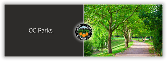 ENTITLEMENT PROJECT MANAGER